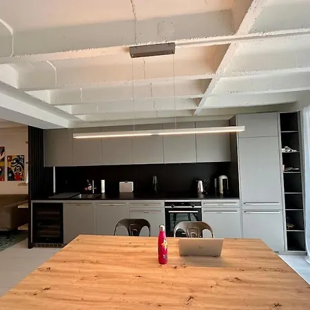 Loft Industriel En Duplex - The Urban Garage Lausana